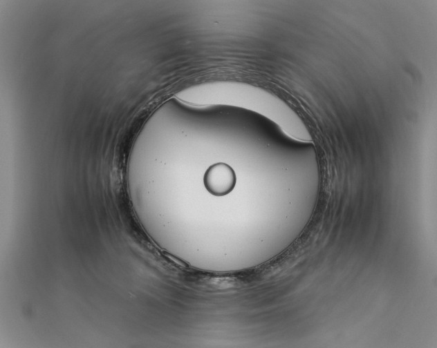 X0000112170324200908281345