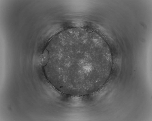 X0000112170325200908281345