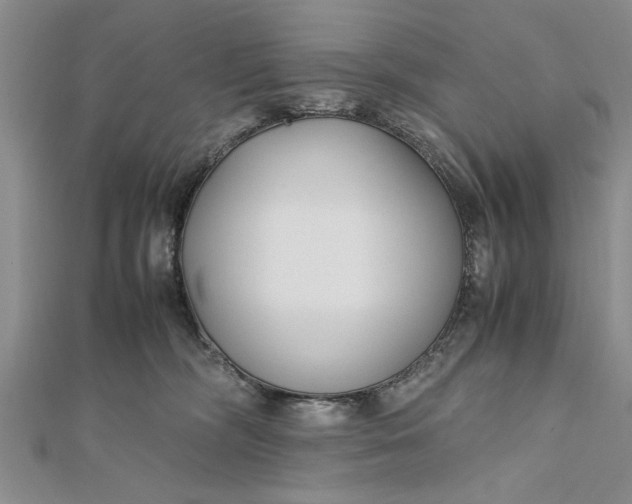 X0000112170326200908281345