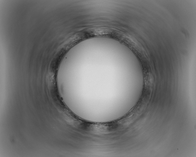 X0000112170327200908281345