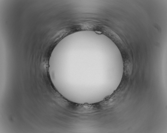 X0000112170329200908281345