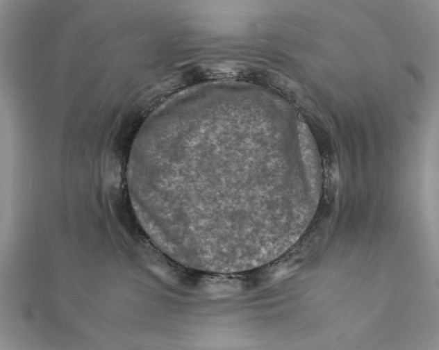 X0000112170331200908281345