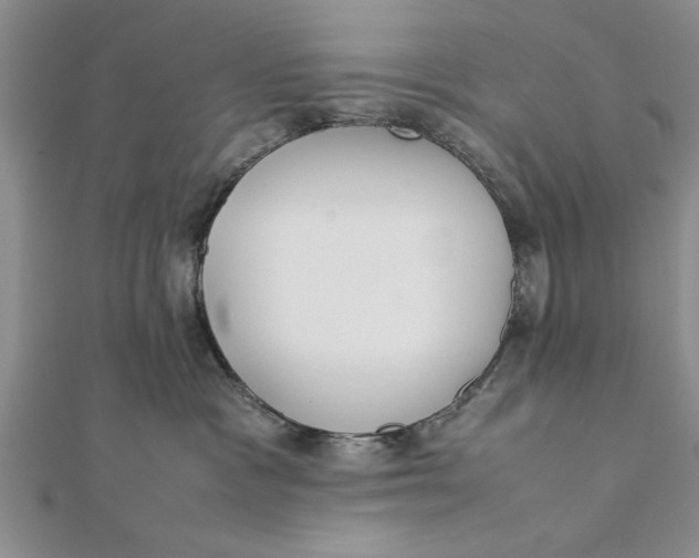 X0000112170333200908281345