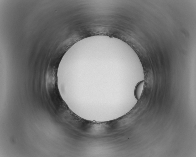 X0000112170334200908281345