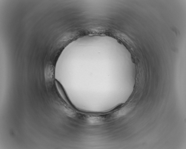 X0000112170336200908281345