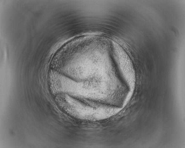 X0000112170337200908281344