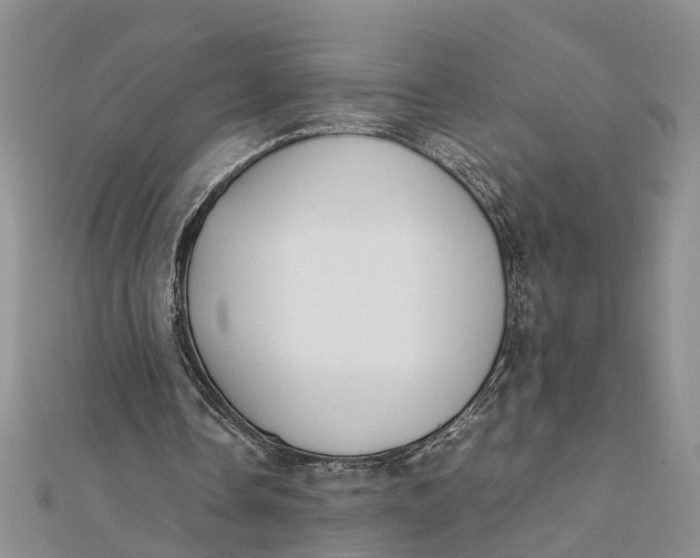 X0000112170338200908281344