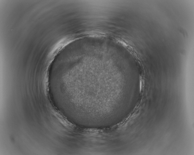 X0000112170339200908281344