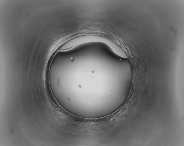 X0000112170340200908281344