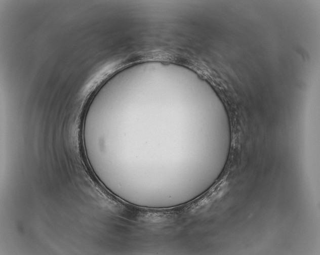 X0000112170341200908281344