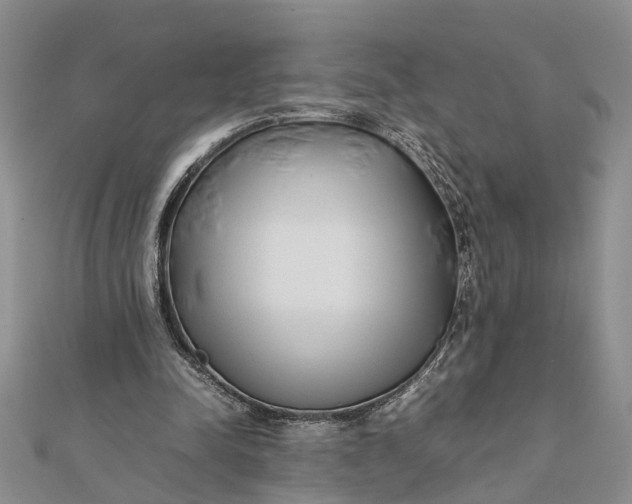 X0000112170342200908281344