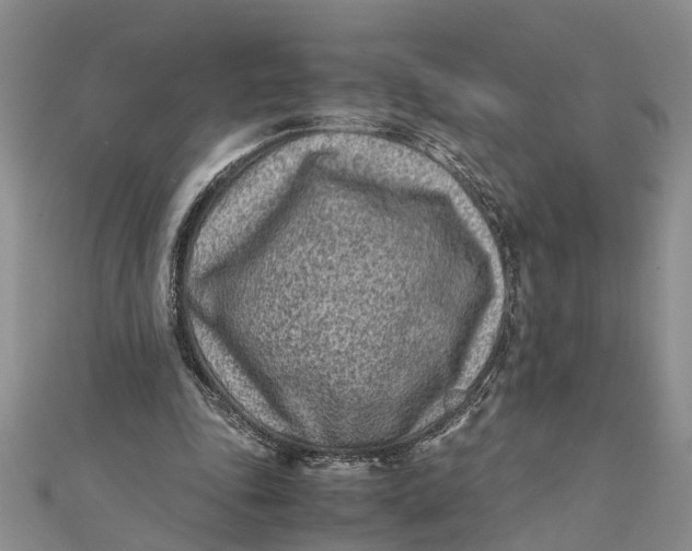 X0000112170343200908281344