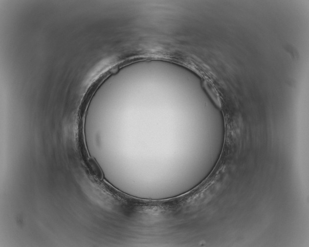 X0000112170344200908281344