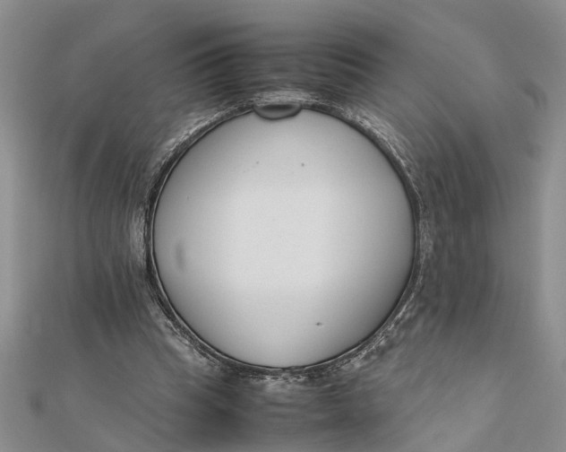 X0000112170345200908281344