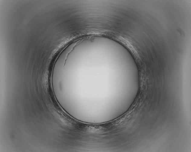 X0000112170346200908281344