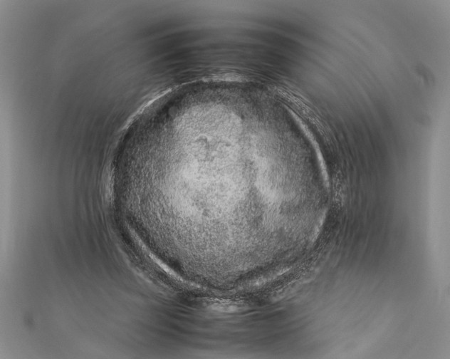 X0000112170347200908281344