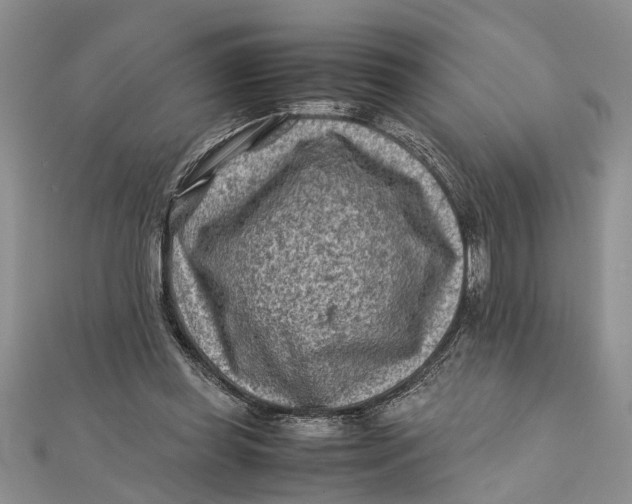 X0000112170349200908281344