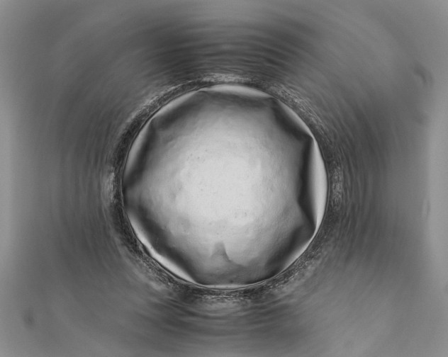 X0000112170351200908281344