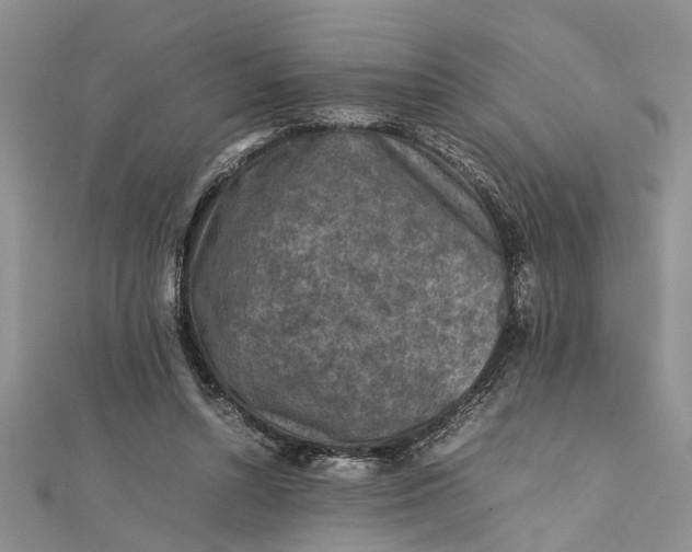 X0000112170352200908281344