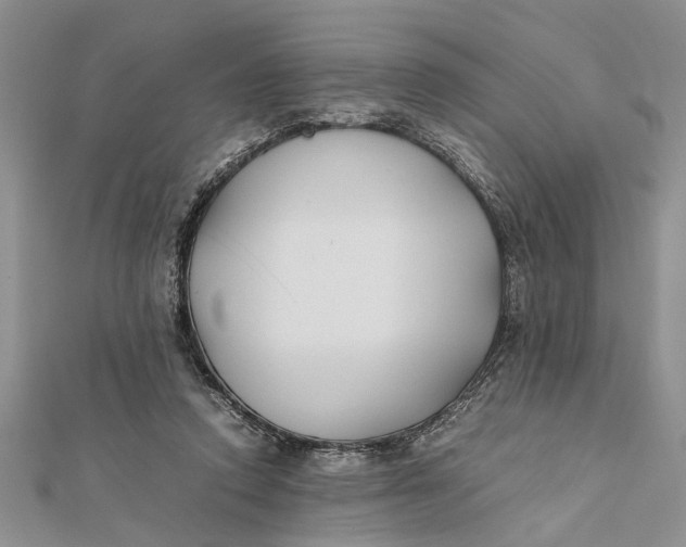 X0000112170354200908281344