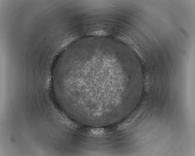 X0000112170355200908281344