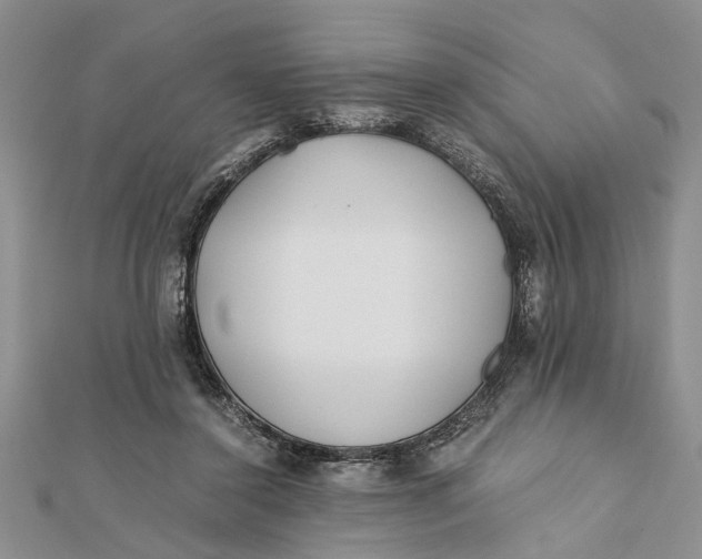 X0000112170356200908281344