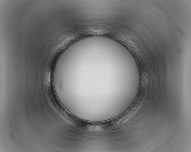 X0000112170358200908281344