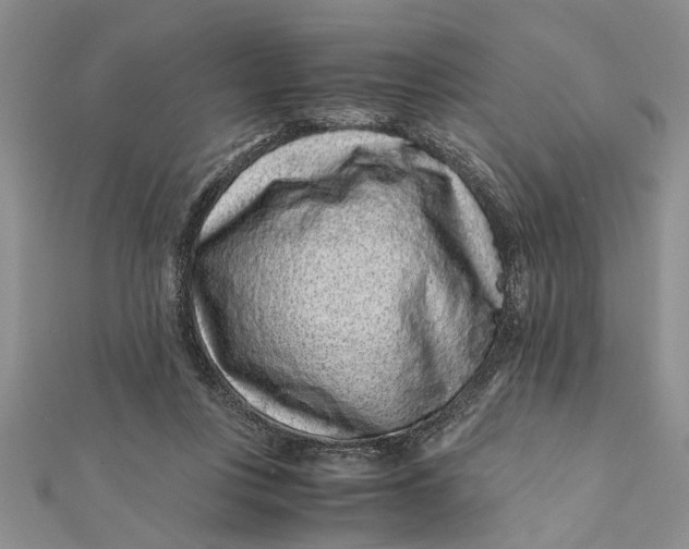 X0000112170359200908281344