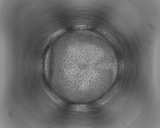 X0000112170361200908281344