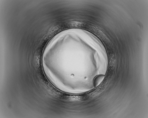 X0000112170363200908281344