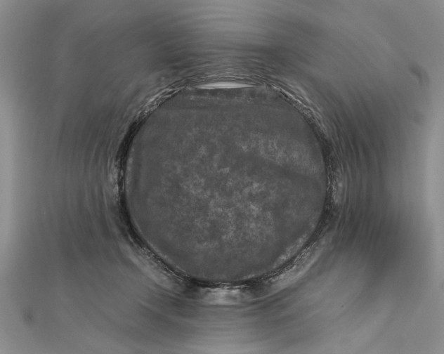 X0000112170366200908281344