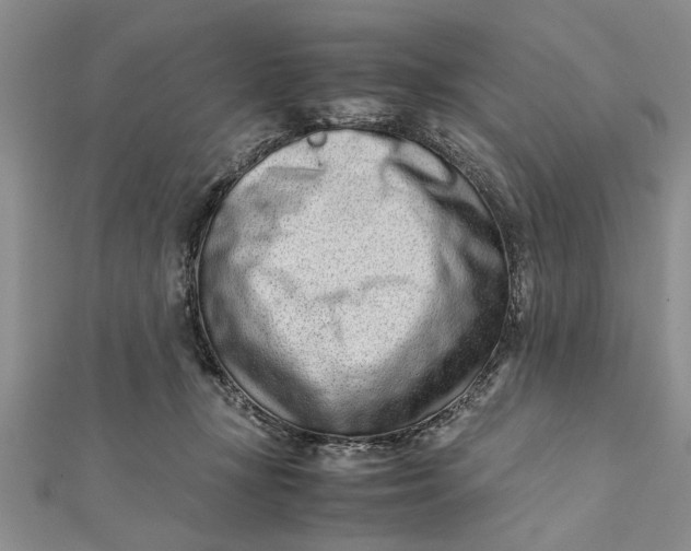 X0000112170367200908281344