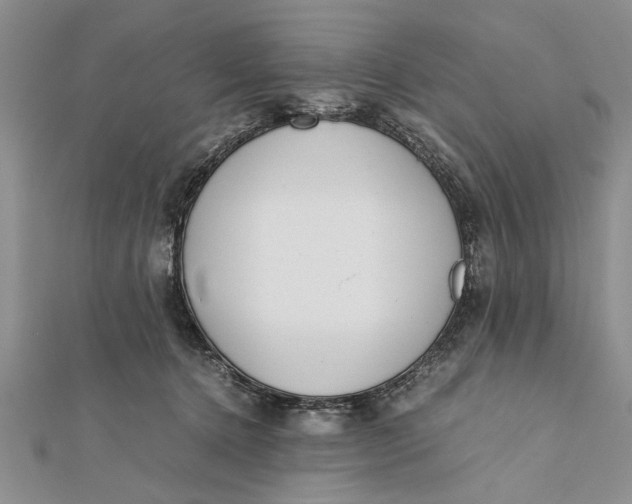 X0000112170368200908281344