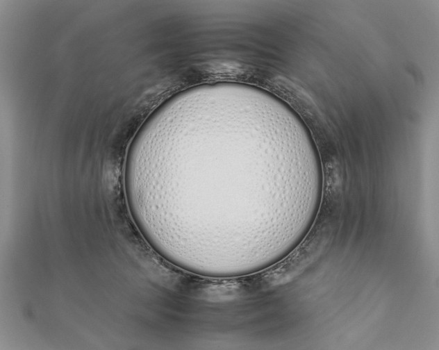 X0000112170369200908281344