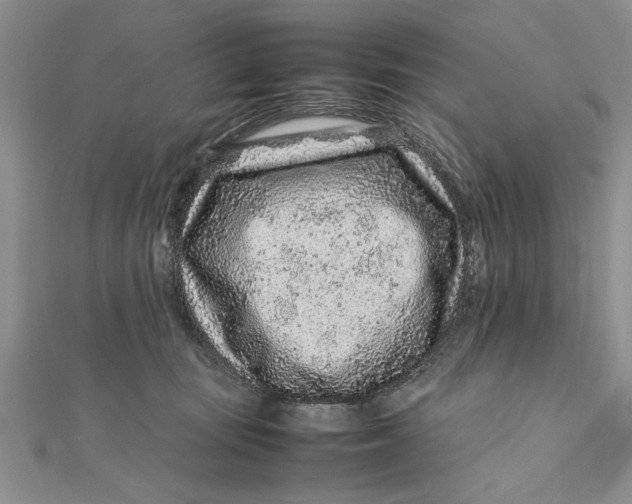 X0000112170371200908281344