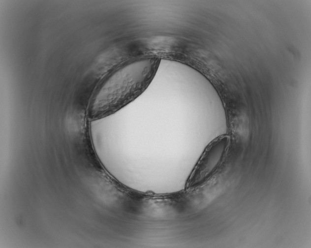 X0000112170372200908281344