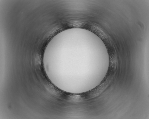 X0000112170374200908281345