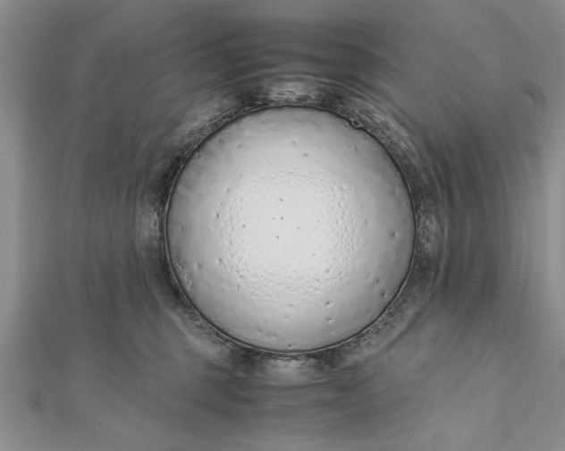 X0000112170375200908281345