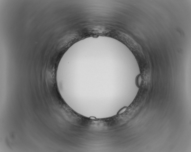 X0000112170376200908281345