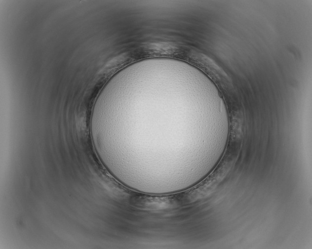 X0000112170377200908281345