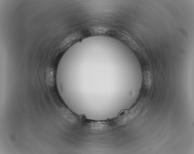 X0000112170378200908281345