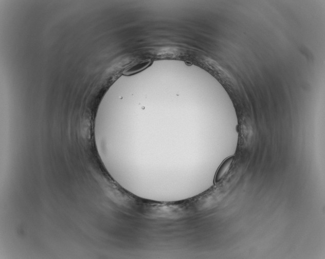 X0000112170379200908281345