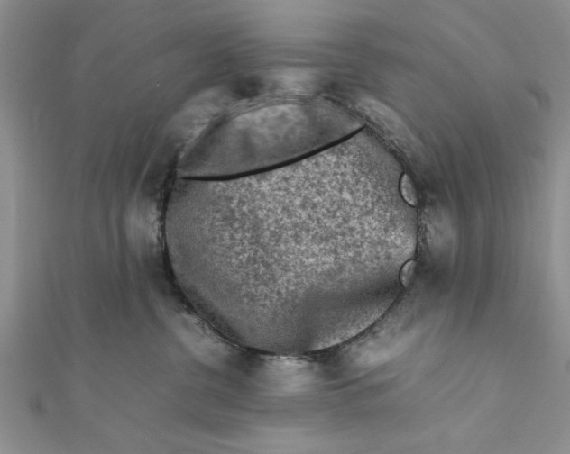 X0000112170380200908281345