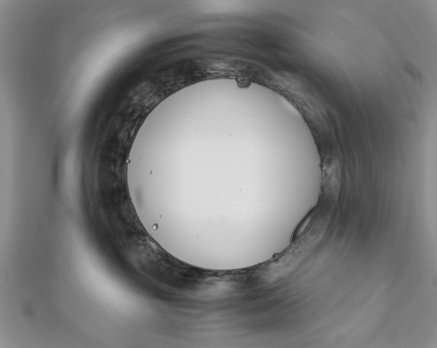 X0000112170381200908281345