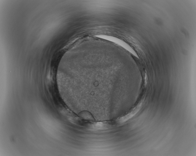 X0000112170382200908281345