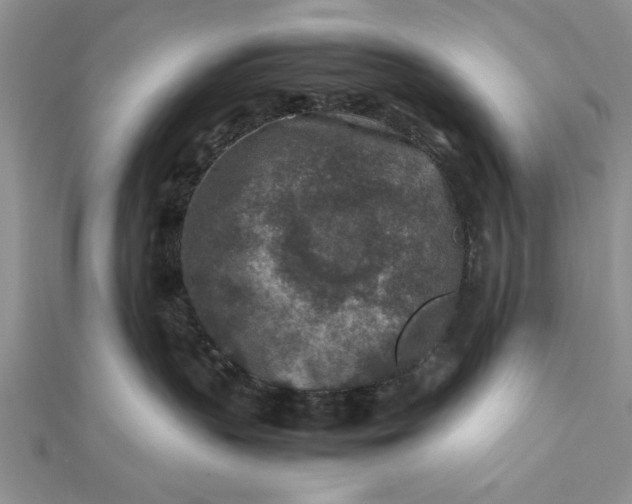 X0000112170383200908281345