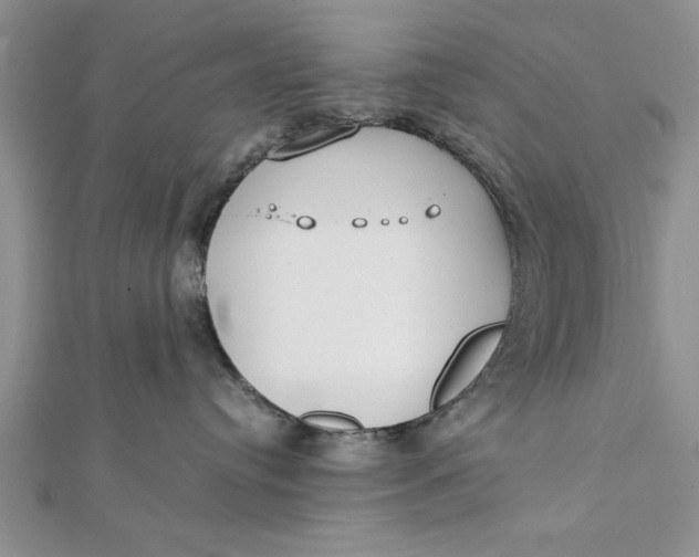 X0000112170384200908281345