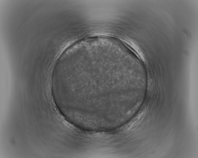 X0000112170385200908281344