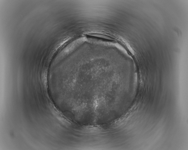 X0000112170386200908281344