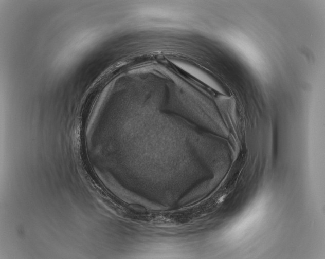 X0000112170387200908281344